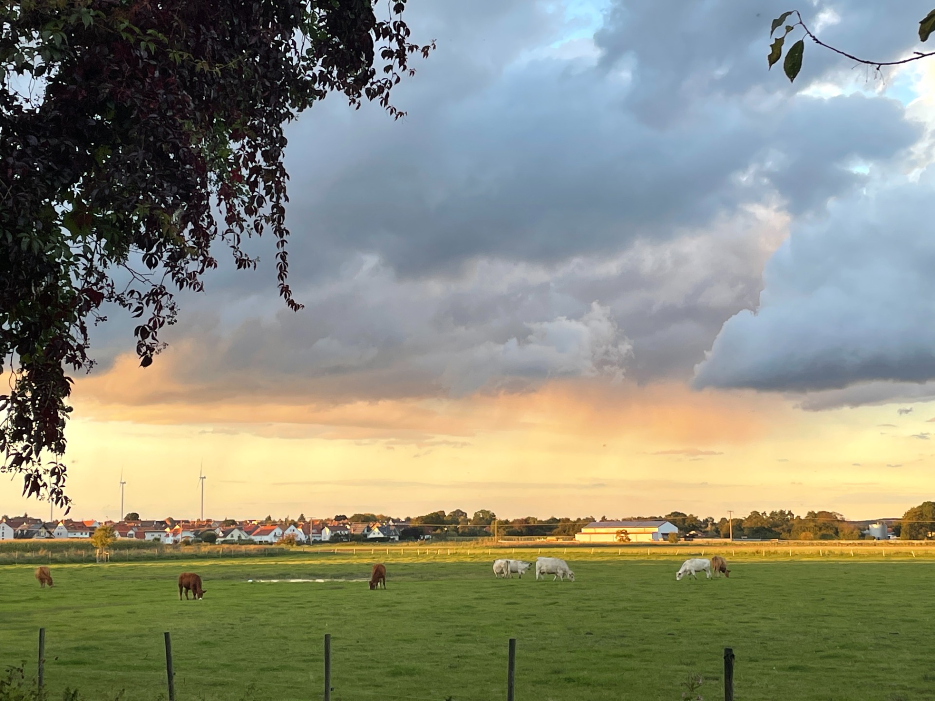 Blick über Hundskopf